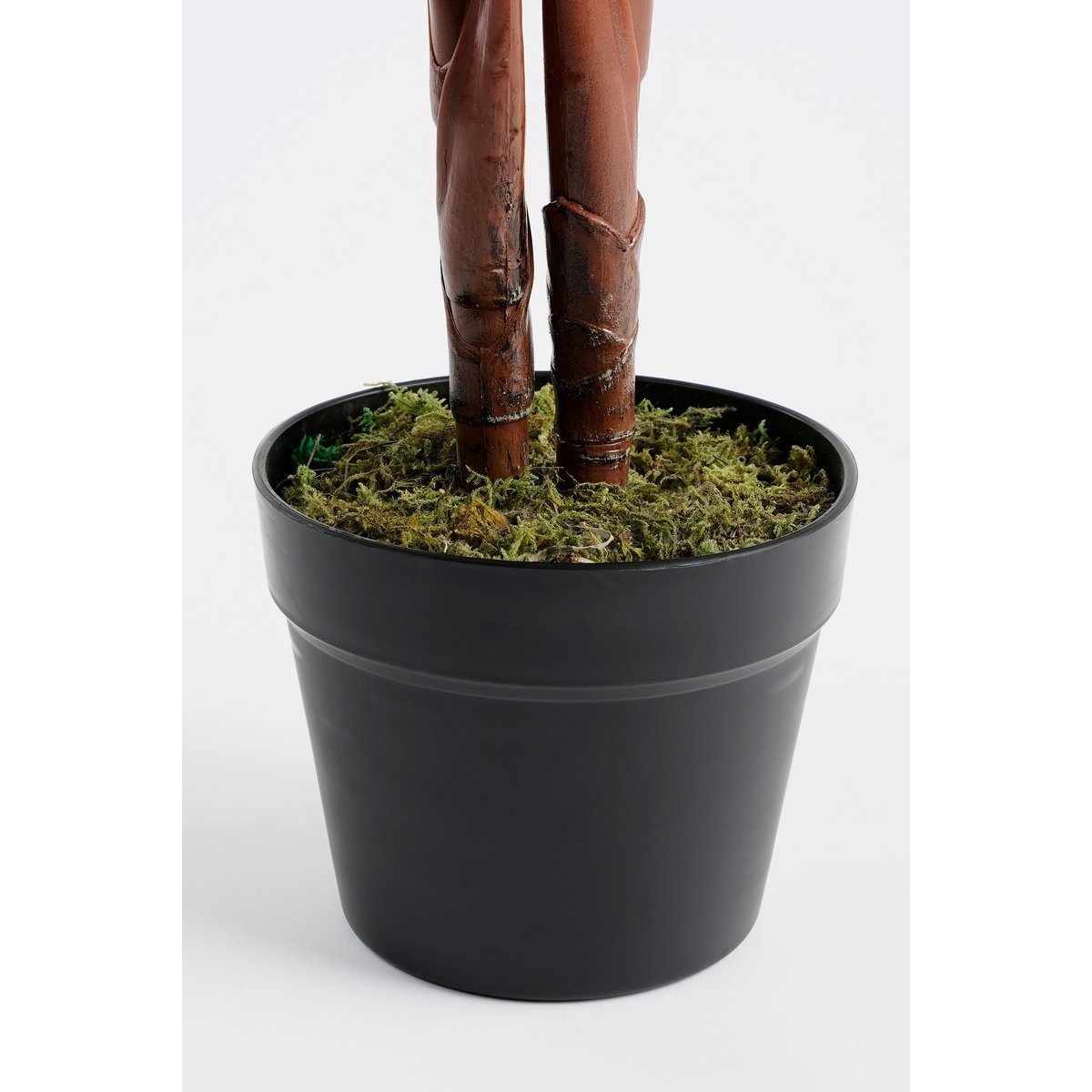 KantoormeubelenPlus Calathea Roseopicta Kunstplant - H90 x Ø60 cm - Groen