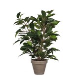 KantoormeubelenPlus Ficus Natasja Kunstplant in Bloempot Stan - H40 x Ø30 cm - Groen