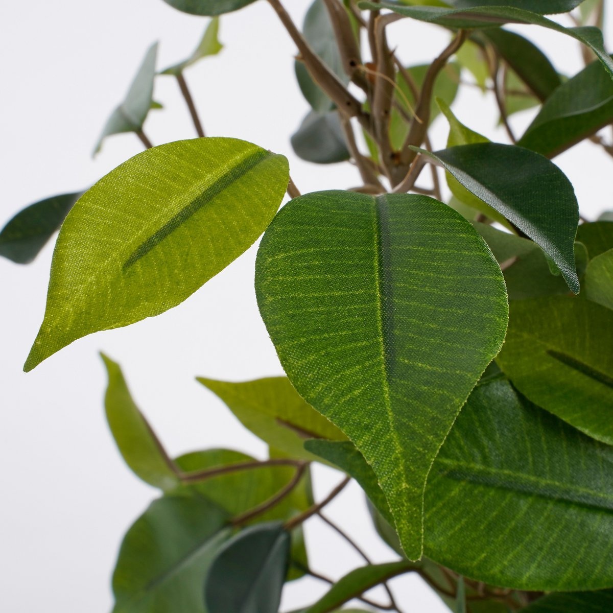 KantoormeubelenPlus Ficus Natasja Kunstplant in Bloempot Stan - H40 x Ø30 cm - Groen