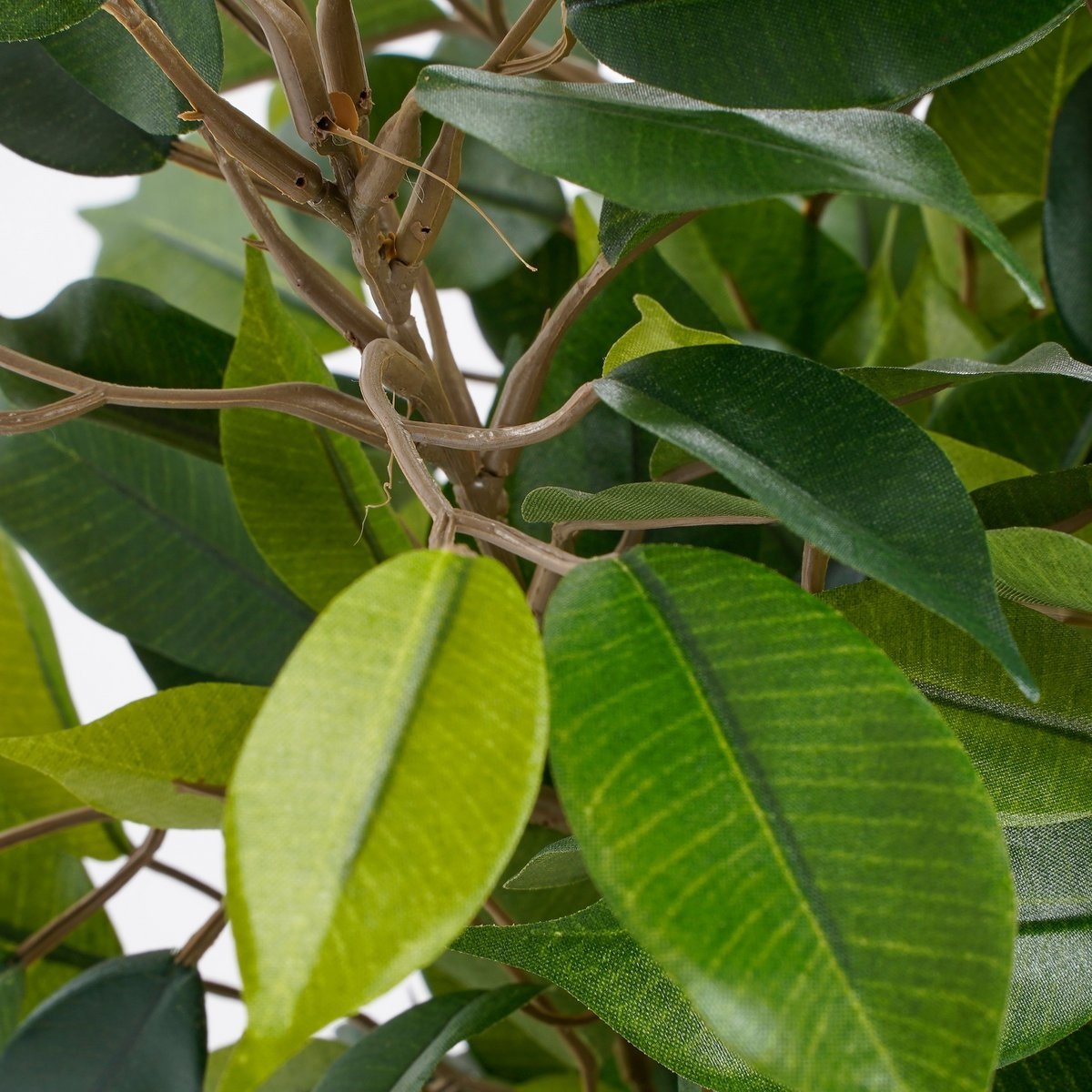 KantoormeubelenPlus Ficus Natasja Kunstplant in Bloempot Stan - H40 x Ø30 cm - Groen