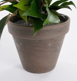 KantoormeubelenPlus Ficus Natasja Kunstplant in Bloempot Stan - H40 x Ø30 cm - Groen