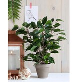 KantoormeubelenPlus Ficus Natasja Kunstplant in Bloempot Stan - H40 x Ø30 cm - Groen