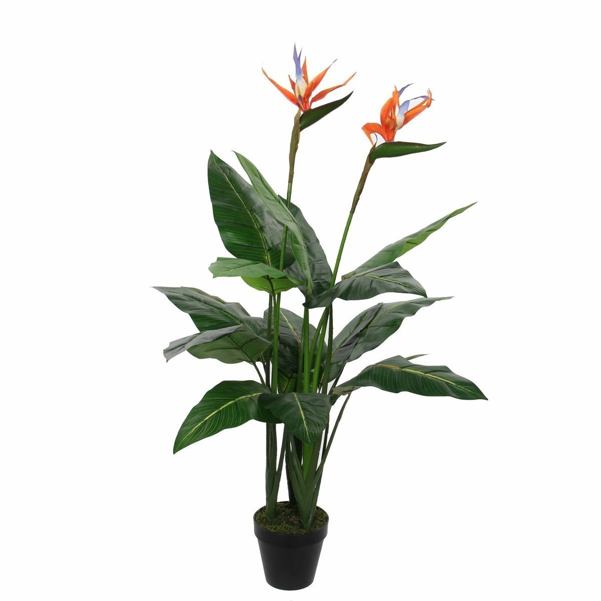 KantoormeubelenPlus Strelitzia Kunstplant - H110 x Ø60 cm - Groen