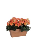 KantoormeubelenPlus Begonia Kunstplant in Balkonbak Slate - L29 x B13 x H25 cm - Zalmroze