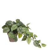 KantoormeubelenPlus Scindapsus Kunstplant in Bloempot Stan - H44 x Ø17 cm - Groen