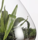 KantoormeubelenPlus Emily Terrarium of Voorraadpot - H32 x Ø29,5 cm - Gerecycled Glas - Transparant