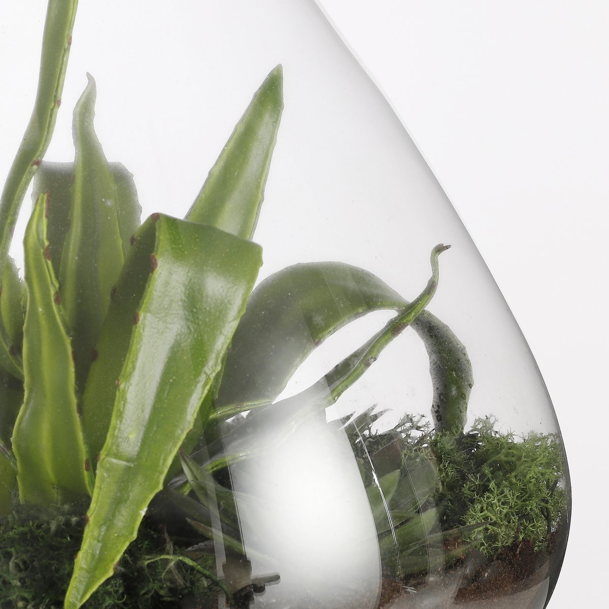 KantoormeubelenPlus Emily Terrarium of Voorraadpot - H32 x Ø29,5 cm - Gerecycled Glas - Transparant