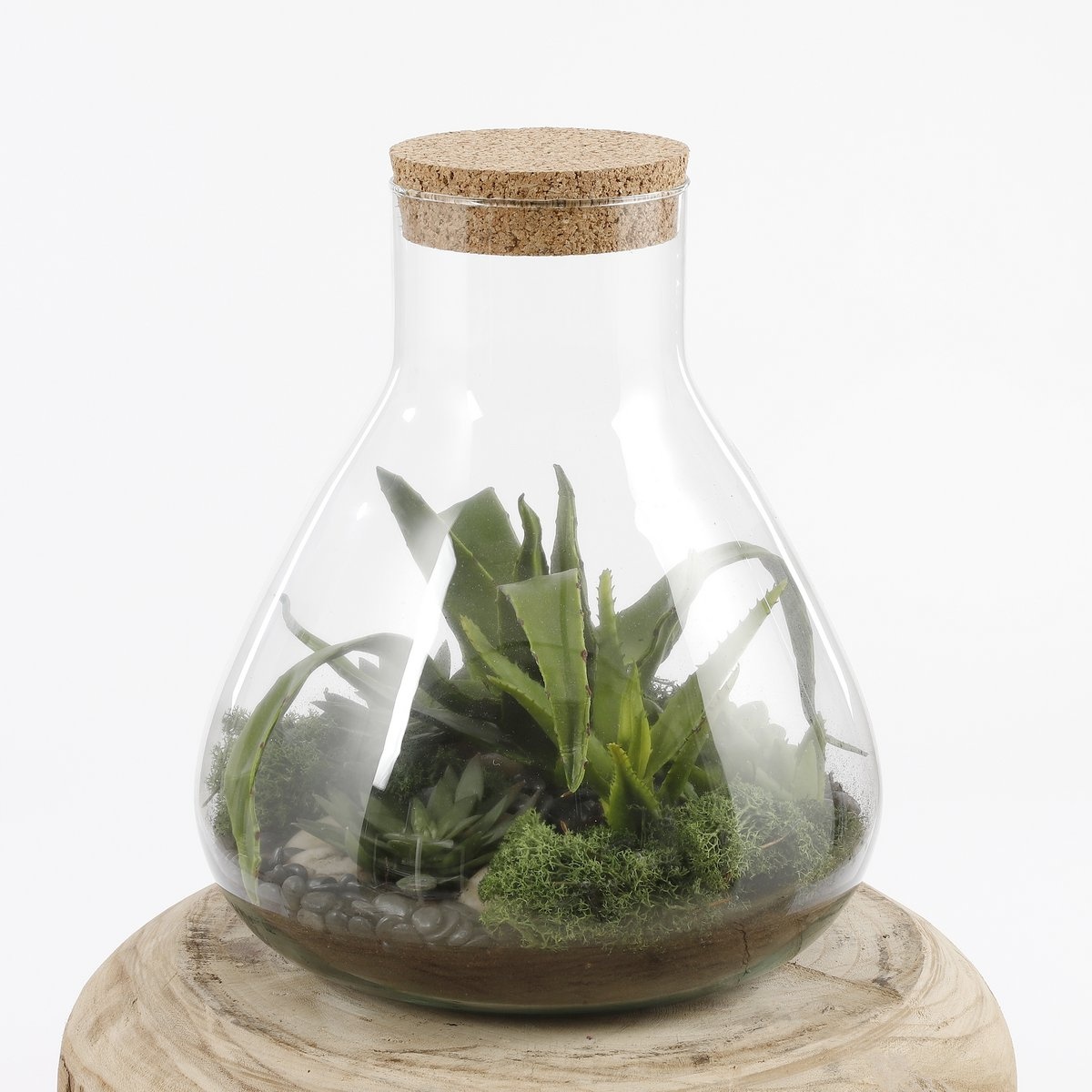 KantoormeubelenPlus Emily Terrarium of Voorraadpot - H32 x Ø29,5 cm - Gerecycled Glas - Transparant