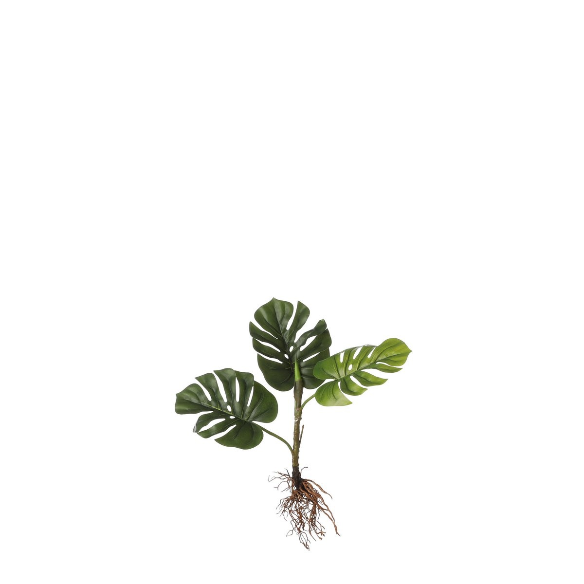 KantoormeubelenPlus Monstera Kunstplant - L12 x B21 x H54 cm - Groen