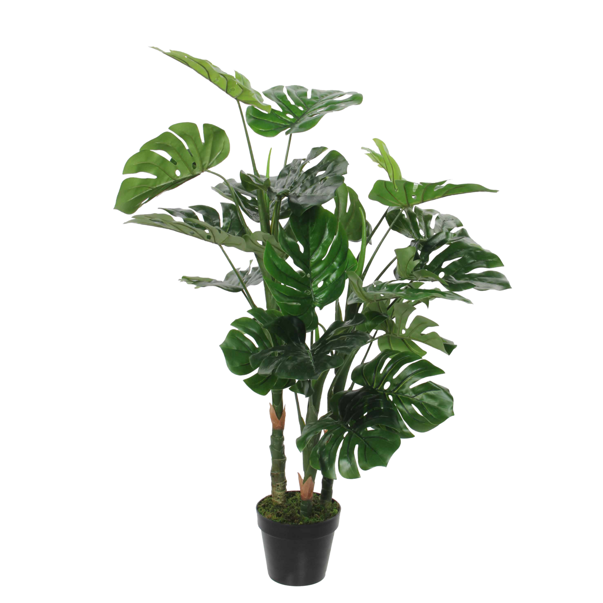 KantoormeubelenPlus Monstera Kunstplant - H100 x Ø75 cm - Groen