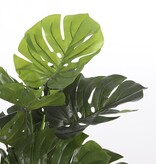 KantoormeubelenPlus Monstera Kunstplant - H100 x Ø75 cm - Groen