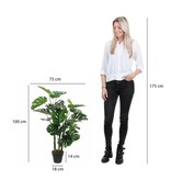 KantoormeubelenPlus Monstera Kunstplant - H100 x Ø75 cm - Groen