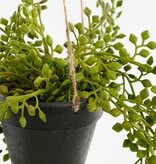 KantoormeubelenPlus Senecio Kunst Hangplant in Pot - H68 x Ø9 cm - Groen