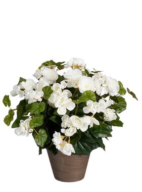 KantoormeubelenPlus Begonia Kunstplant in Bloempot Stan - H37 x Ø36 cm - Wit
