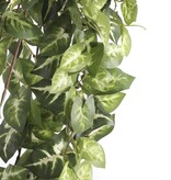 KantoormeubelenPlus Fittonia Kunst Hangplant - L15 x B30 x H80 cm - Groen