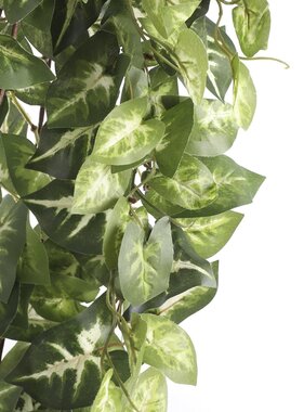 KantoormeubelenPlus Fittonia Kunst Hangplant - L15 x B30 x H80 cm - Groen