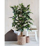 KantoormeubelenPlus Ficus Kunstplant - H110 x Ø65 cm - Groen
