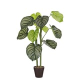 KantoormeubelenPlus Caladium Kunstplant in Bloempot - H100 x Ø50 cm - Lichtgroen
