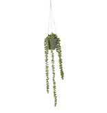 KantoormeubelenPlus Senecio Kunst Hangplant in Pot - H56 x Ø9 cm - Lichtgroen