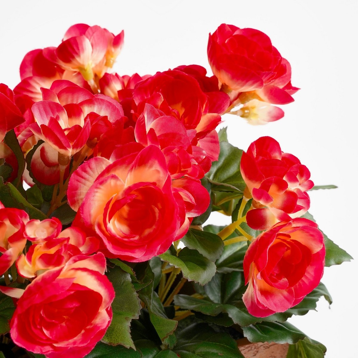 KantoormeubelenPlus Begonia Kunstplant in Balkonbak Slate - L29 x B13 x H25 cm - Donkerroze