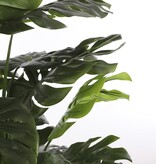 KantoormeubelenPlus Monstera Kunstplant - H160 x Ø80 cm - Groen