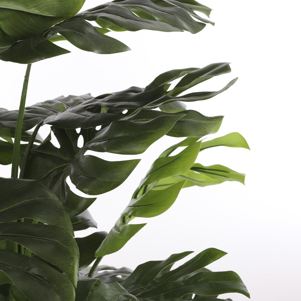 KantoormeubelenPlus Monstera Kunstplant - H160 x Ø80 cm - Groen