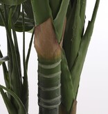 KantoormeubelenPlus Monstera Kunstplant - H160 x Ø80 cm - Groen