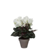 KantoormeubelenPlus Cyclaam Kunstplant in Bloempot Stan - H30 x Ø30 cm - Wit