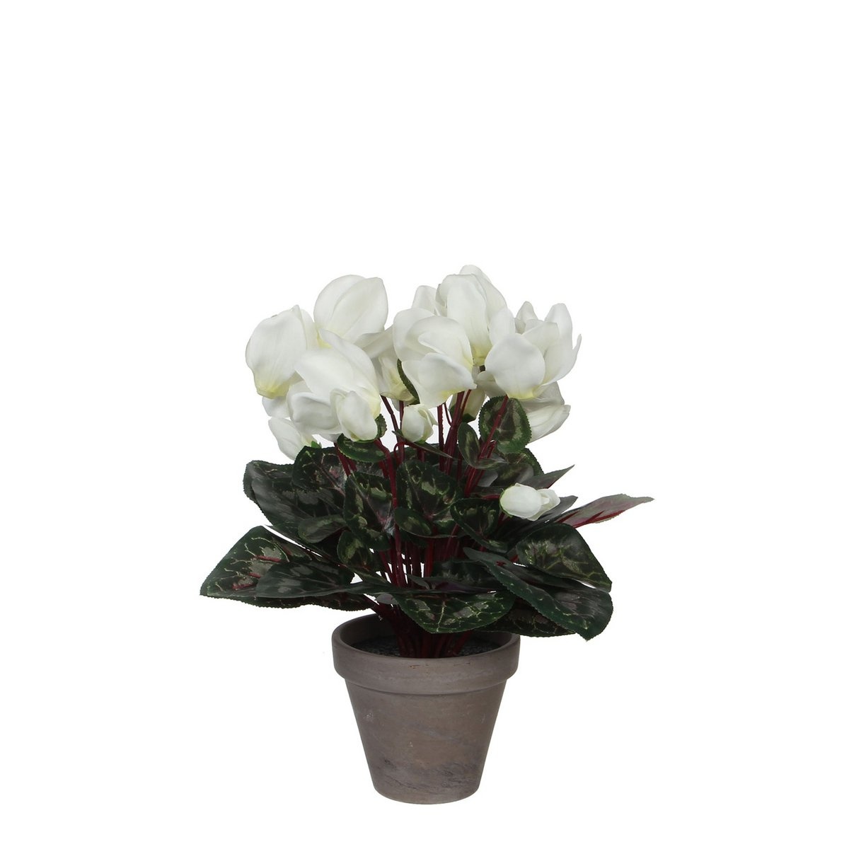 KantoormeubelenPlus Cyclaam Kunstplant in Bloempot Stan - H30 x Ø30 cm - Wit