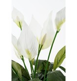 KantoormeubelenPlus Spathiphyllum Kunstplant in Bloempot Stan - H50 x Ø40 cm - Wit