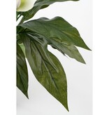 KantoormeubelenPlus Spathiphyllum Kunstplant in Bloempot Stan - H50 x Ø40 cm - Wit