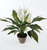 KantoormeubelenPlus Spathiphyllum Kunstplant in Bloempot Stan - H50 x Ø40 cm - Wit