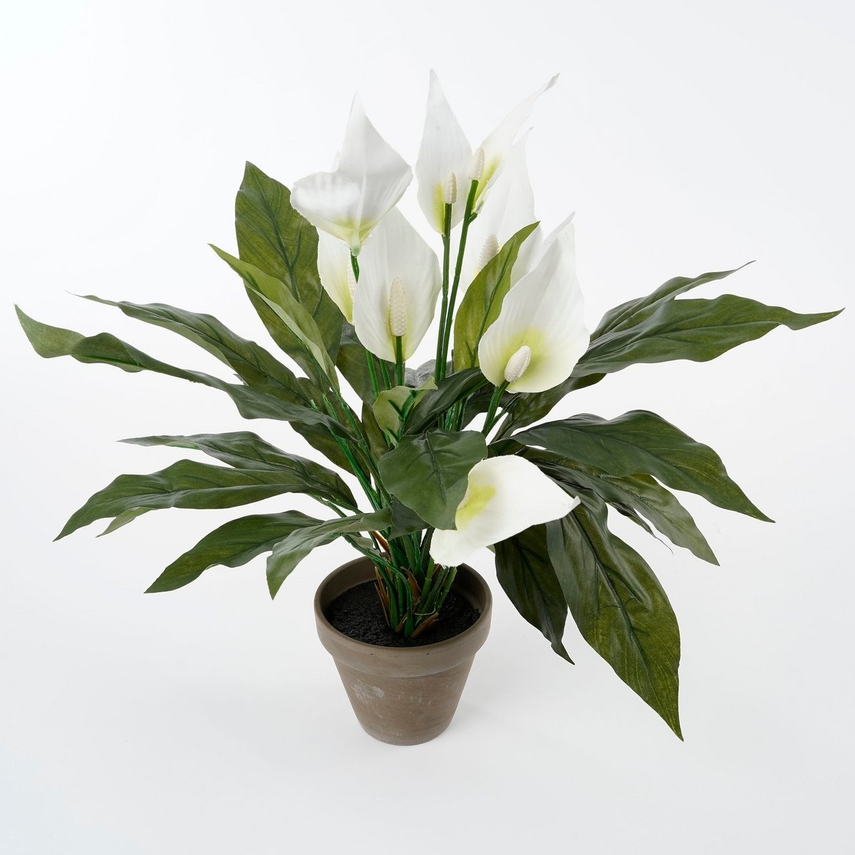 KantoormeubelenPlus Spathiphyllum Kunstplant in Bloempot Stan - H50 x Ø40 cm - Wit