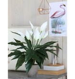 KantoormeubelenPlus Spathiphyllum Kunstplant in Bloempot Stan - H50 x Ø40 cm - Wit