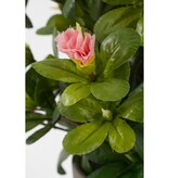 KantoormeubelenPlus Azalea Kunstplant in Bloempot Stan - H31 x Ø26 cm - Perzik