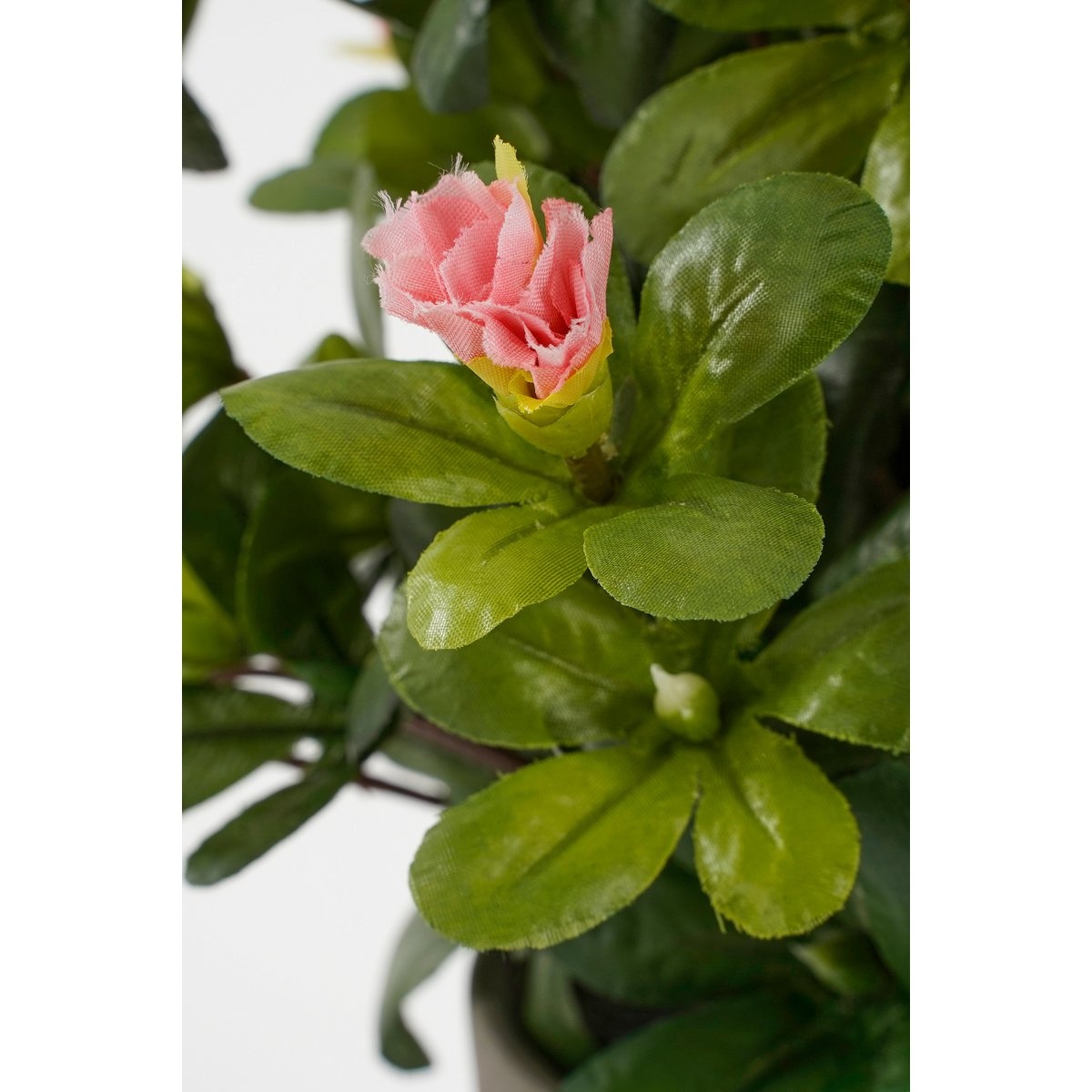 KantoormeubelenPlus Azalea Kunstplant in Bloempot Stan - H31 x Ø26 cm - Perzik