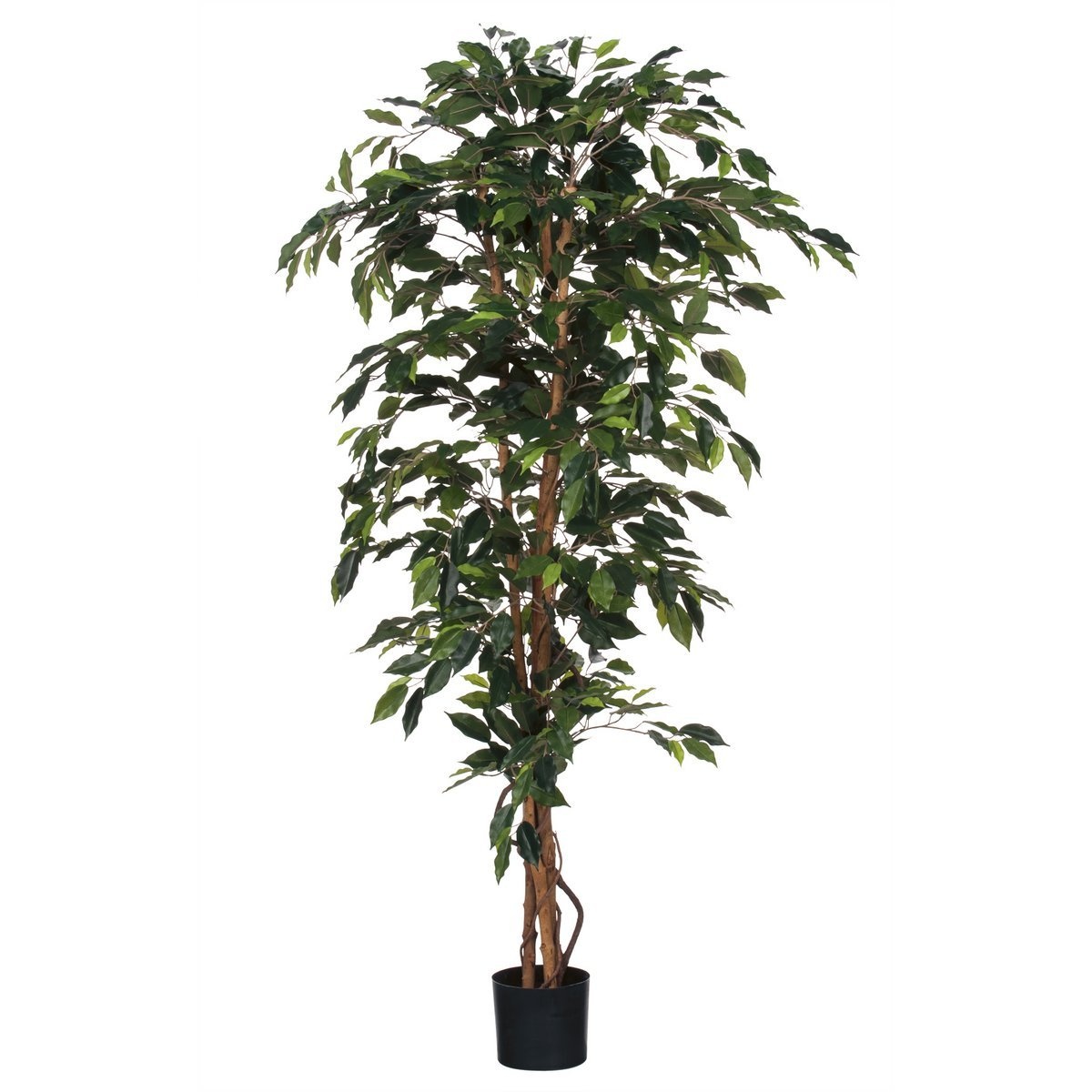 KantoormeubelenPlus Ficus Kunstplant - H180 x Ø100 cm - groen