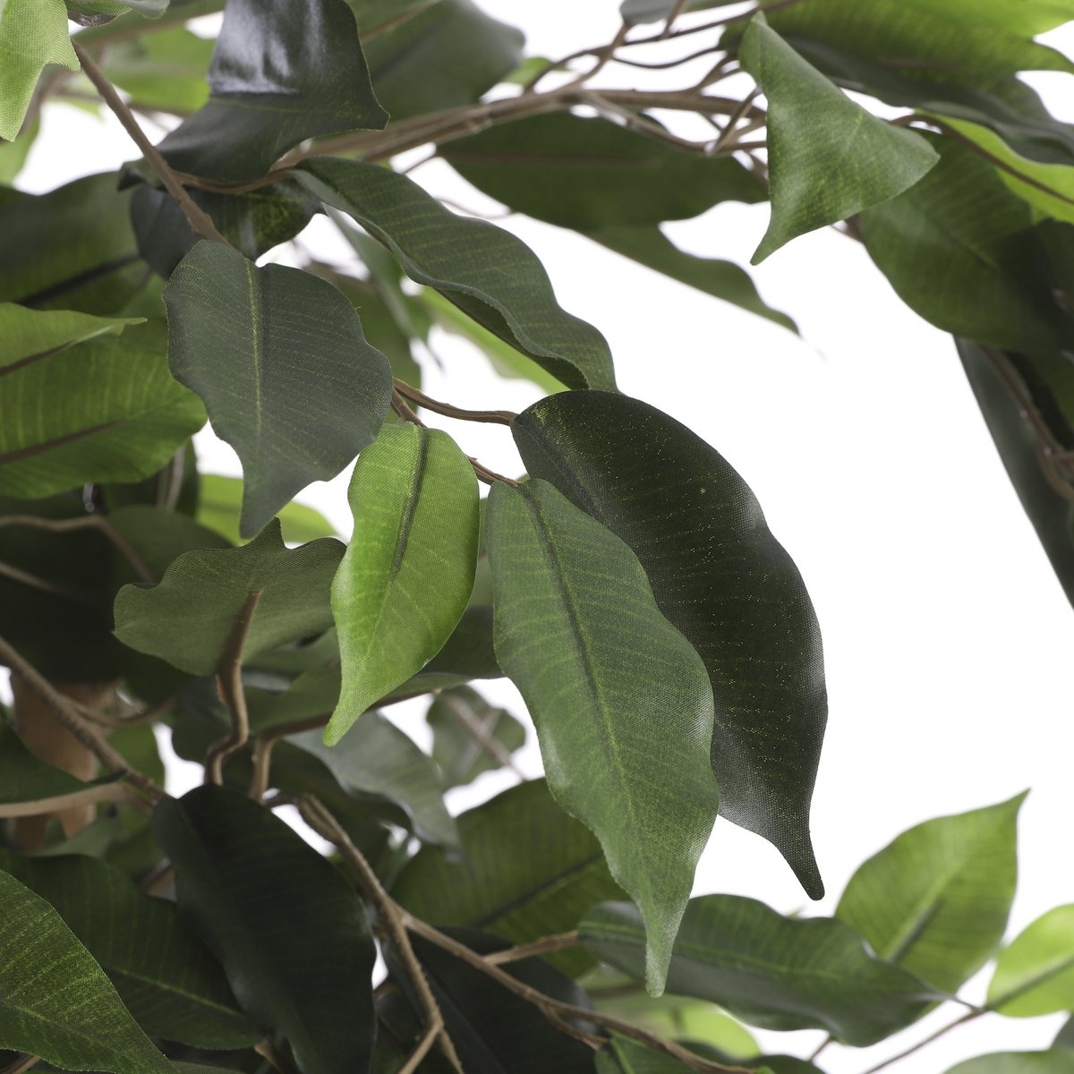 KantoormeubelenPlus Ficus Kunstplant - H210 x Ø100 cm - groen