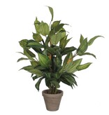 KantoormeubelenPlus Hosta Kunstplant in Bloempot Stan - H65 x Ø40 cm - Groen