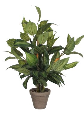 KantoormeubelenPlus Hosta Kunstplant in Bloempot Stan - H65 x Ø40 cm - Groen