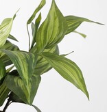 KantoormeubelenPlus Hosta Kunstplant in Bloempot Stan - H65 x Ø40 cm - Groen