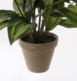 KantoormeubelenPlus Hosta Kunstplant in Bloempot Stan - H65 x Ø40 cm - Groen