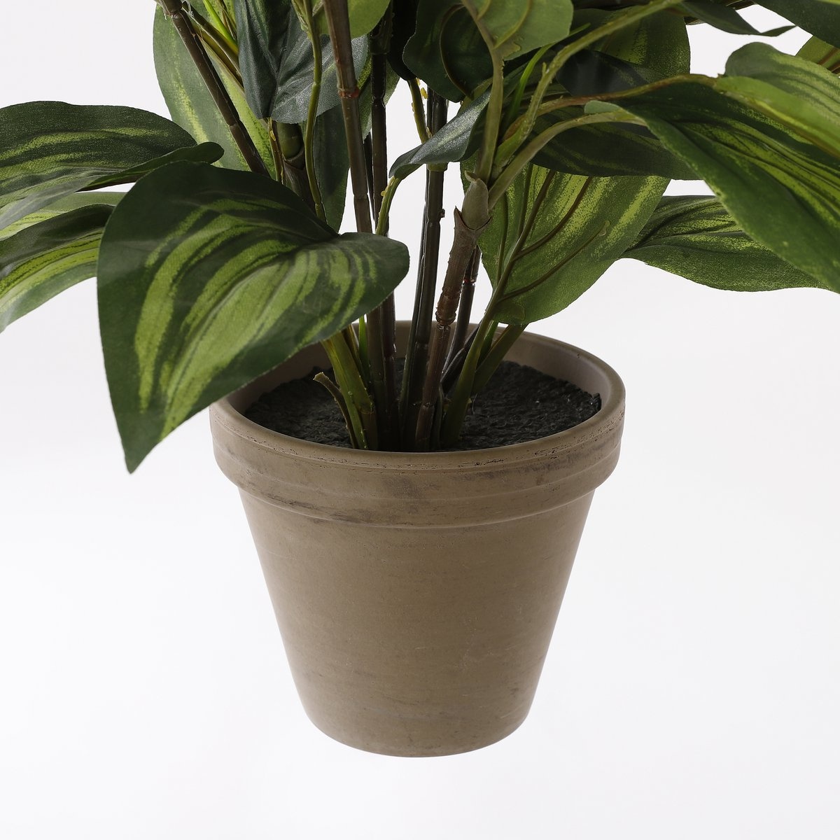 KantoormeubelenPlus Hosta Kunstplant in Bloempot Stan - H65 x Ø40 cm - Groen