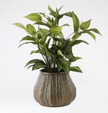 KantoormeubelenPlus Hosta Kunstplant in Bloempot Stan - H65 x Ø40 cm - Groen