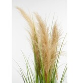 KantoormeubelenPlus Pampasgras Kunstplant - H120 x Ø40 cm - Groen