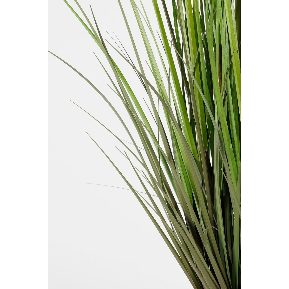 KantoormeubelenPlus Pampasgras Kunstplant - H120 x Ø40 cm - Groen