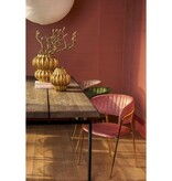 KantoormeubelenPlus Moony Eetkamerstoel - Velvet - Roze