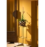 KantoormeubelenPlus Dacia Plantenstandaard - L21,5 x B21,5 x H68 cm - Metaal - Groen