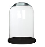 KantoormeubelenPlus Hella Glazen Stolp - H30 x Ø21 cm - Transparant, Zwart