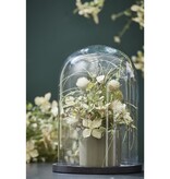 KantoormeubelenPlus Hella Glazen Stolp - H30 x Ø21 cm - Transparant, Zwart